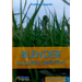 Blender - La guida definitiva - volume 1