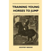 Training Young Horses To Jump