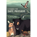 A Search for Safe Passage