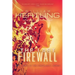 The Last Firewall