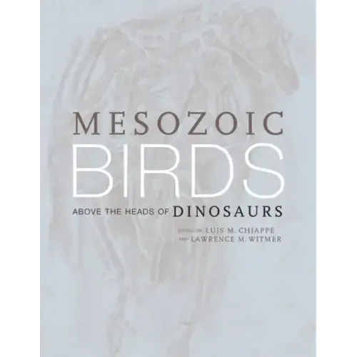 Mesozoic Birds: Above the Heads of Dinosaurs