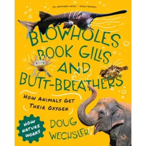 Blowholes, Book Gills, and Butt-Breathers: How Animals Get Their Oxygen