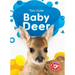 Baby Deer