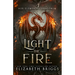 Light The Fire: A Reverse Harem Fantasy