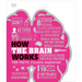 How the Brain Works: The Facts Visually Explained