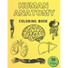 Human Anatomy Coloring Book: Informative Guide To The Human Body (internal organs the nervous system, reproductive systems and limbs) For Kids