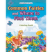 Common Fairies and Where to Find Them Coloring Book