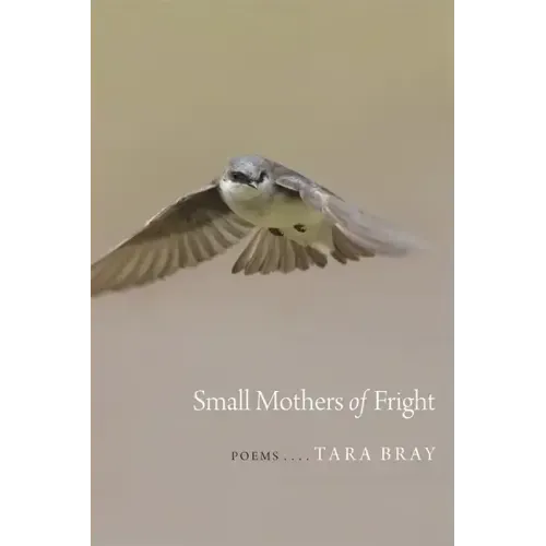 Small Mothers of Fright: Poems