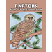 Raptors - Birds of Prey Coloring Book