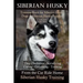Siberian Husky Training Book for Siberian Husky Dogs and Siberian Husky Puppies By D!G THIS DOG Training: Dog Obedience - Socializing Caring - Groomin
