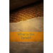 What is the Torah?
