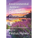 Environmental Justice: Pathways to Environmental Protection in Nigeria: Gaining from the American Experience