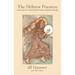 The Hebrew Priestess: Ancient and New Visions of Jewish Women's Spiritual Leadership