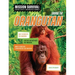 Saving the Orangutan: Meet Scientists on a Mission, Discover Kid Activists on a Mission, Make a Career in Conservation Your Mission