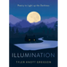 Illumination: Poetry to Light Up the Darkness