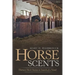 Horse Scents: Thirteen Short Stories in Search of a Novel