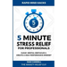 5-Minute Stress Relief For Professionals: Clear Mental Obstacles & Create A High-Performance Mindset