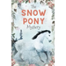 The Snow Pony Mystery