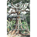 The Mahogany Tree * El 疵bol de caoba