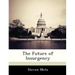The Future of Insurgency