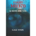 Flight Mh370: Across the Veil