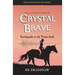Crystal Brave: Earthquake at the Taum Sauk