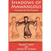 Shadows of Mawangdui: Animating the Silk Daoyintu