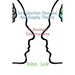 Introduction Demand And Supply Theory: In Business Environment