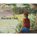 The Ancient Oak