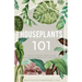 Houseplants 101: How to choose, style, grow and nurture your indoor plants