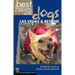 Best Hikes with Dogs Las Vegas and Beyond