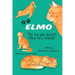 ELMO The Cat who doesn't know he's orange!