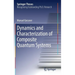 Dynamics and Characterization of Composite Quantum Systems