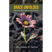 Grace Unfolded: Turning Brokenness into Beauty