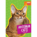 Abyssinian Cats