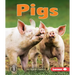 Pigs