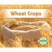 Wheat Crops