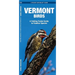 Vermont Birds: An Introduction to Familiar Species
