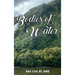 Bodies of Water