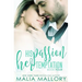 His Passion, Her Temptation (Dominating BDSM Billionaires Erotic Romance #4)