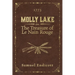 The Treasure of Le Nain Rouge: 1773
