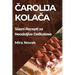 Čarolija Kolača: Slasni Recepti za Neodoljive Delikatese