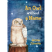An Owl Without a Name