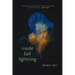 Inside Ball Lightning