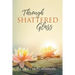 Through Shattered Glass