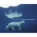 Polar Obsession