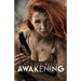 Awakening