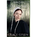 Amish Stranger In The Woods: Amish Mystery Romance