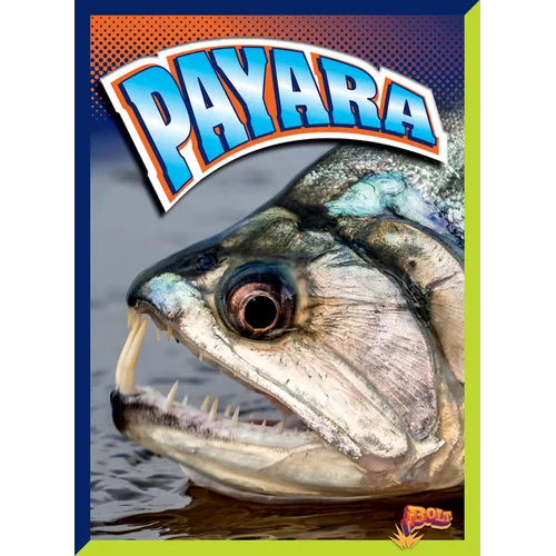 Payara
