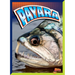 Payara